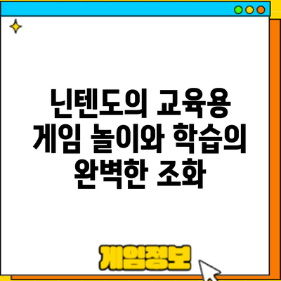 닌텐도의 교육용 게임: 놀이와 학습의 완벽한 조화