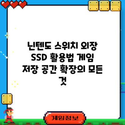 닌텐도 스위치 외장 SSD 활용법: 게임 저장 공간 확장의 모든 것