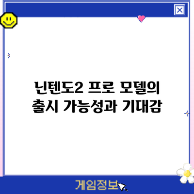 닌텐도2 프로 모델의 출시 가능성과 기대감