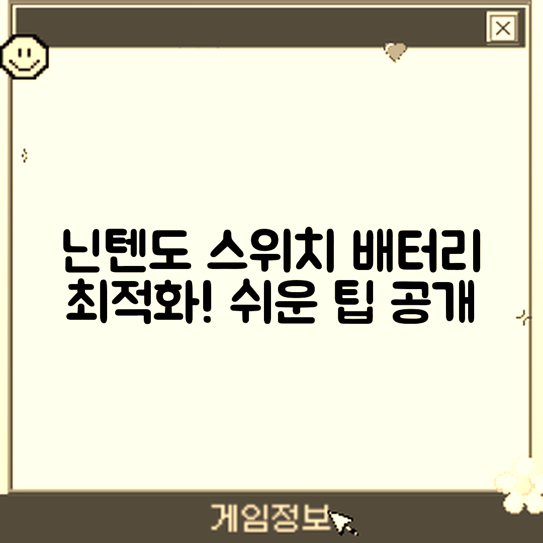 누구나 쉽게 하는 닌텐도 스위치 배터리 최적화 팁