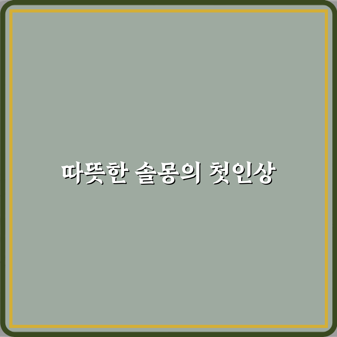 솔몽 베이커리 방문기 | 남양주 디저트 카페 추천 리뷰